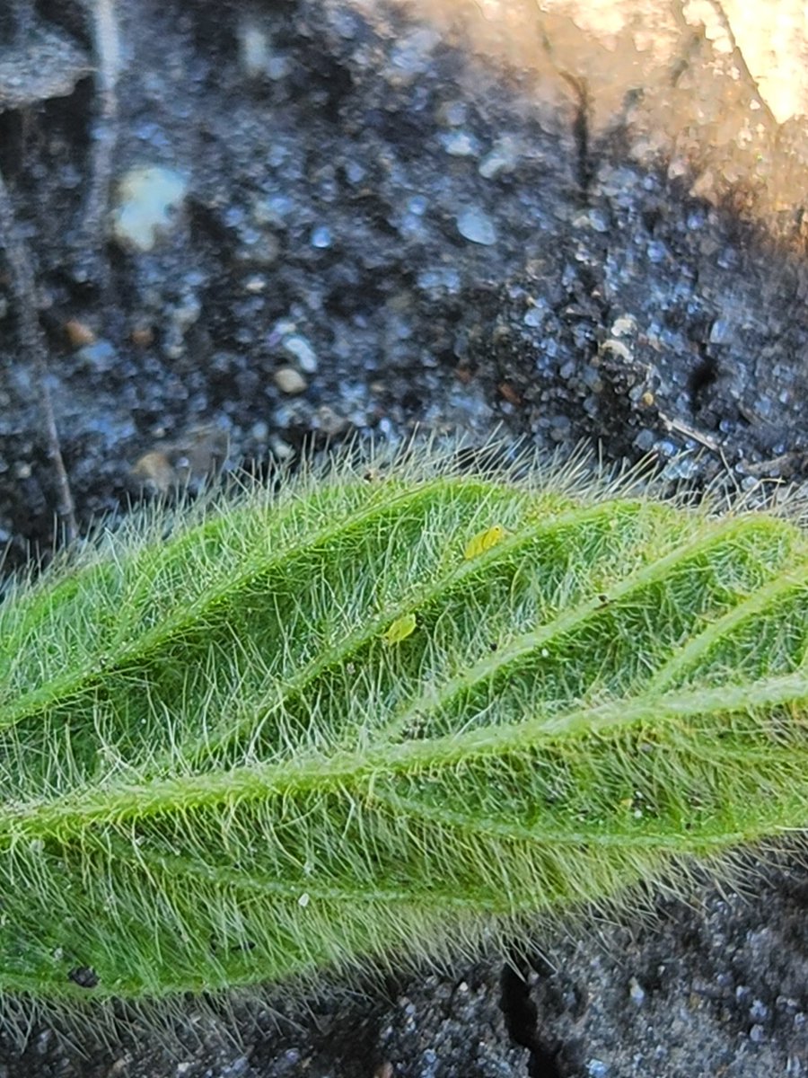 Bruce Potter tweet media