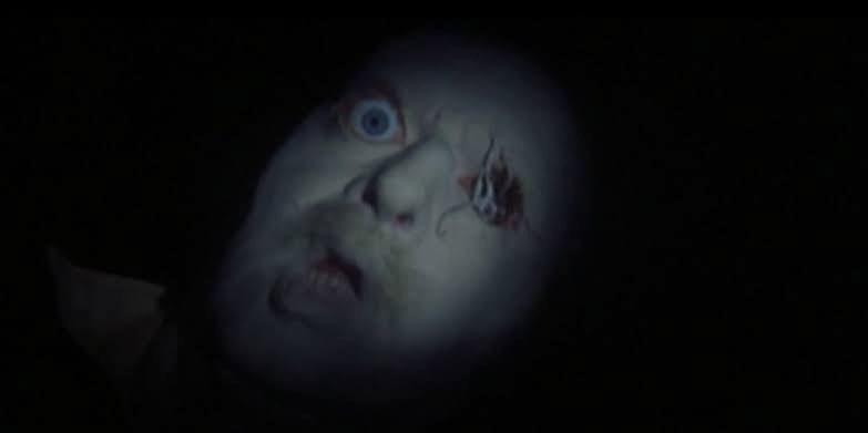 portalmedoo's tweet image. Filmes de TERROR pouco conhecidos que você PRECISA assistir.

~ A THREAD ~