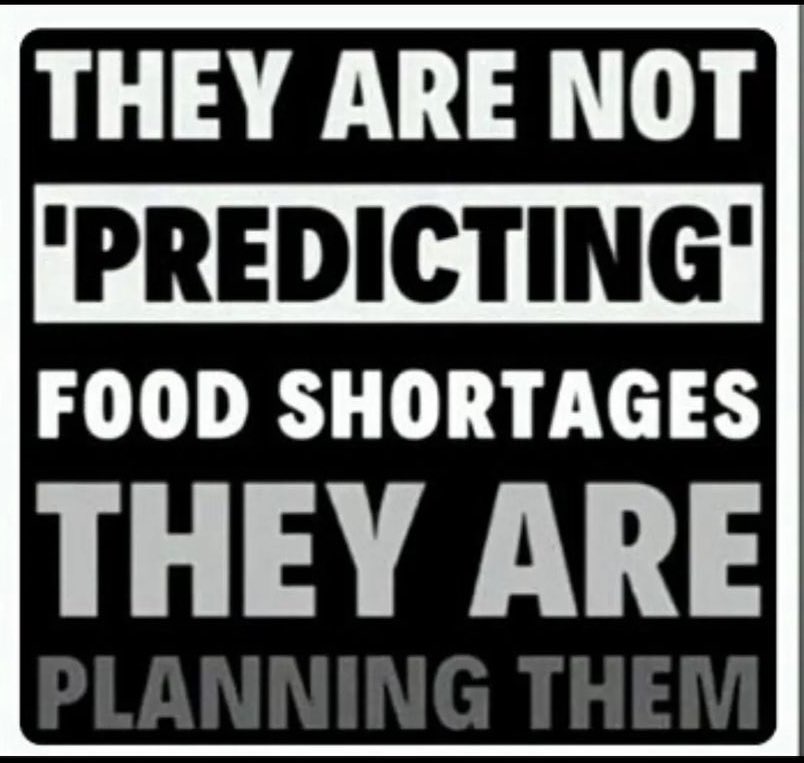 Johnny Midnight ⚡️ (@its_the_dr) on Twitter photo 