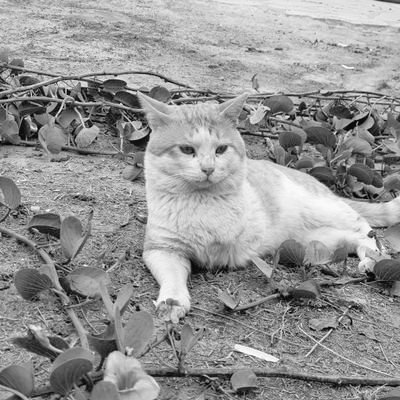 ..YaSsEr tweet media