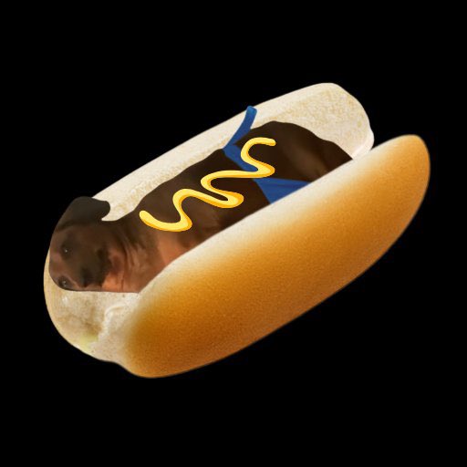 0xBens0n's tweet photo. @Moonpl0x Yeah people need to stop selling and start buying the fat sausage dog $Subo https://t.co/QrnIdKo0Yu