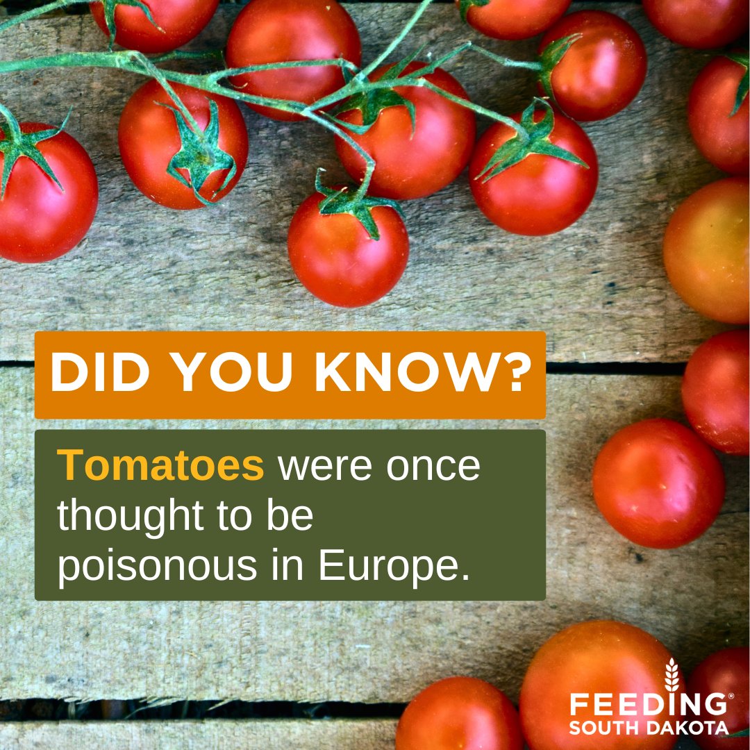 Did you know? Tomatoes were once thought to be poisonous in Europe because they are part of the nightshade family. Today, they’re a staple in many diets around the world! 🍅 #FoodFactFriday