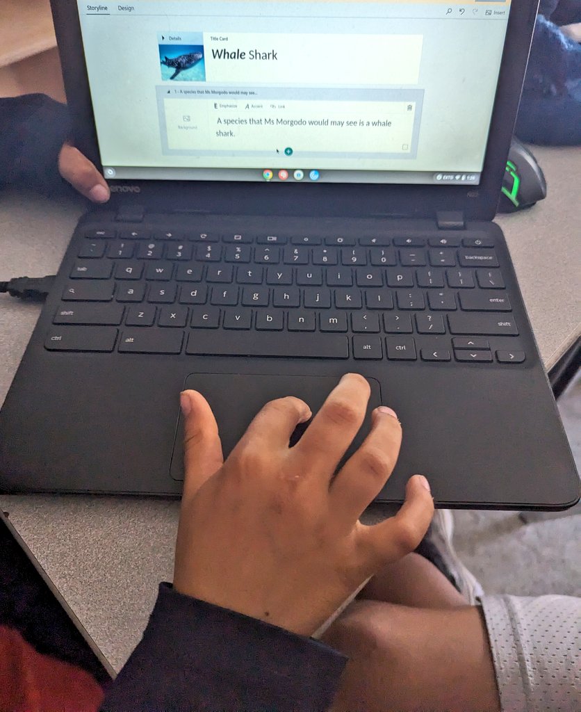 Mrs Morgado (@mrsmorgado1) on Twitter photo Students are starting their <a href="/MicrosoftEDU/">Microsoft Education</a> Sways on the species they researched this week for the #Galapagos #dpcdsb <a href="/DPTechTeam/">DP Tech Team</a> Students are starting their <a href="/MicrosoftEDU/">Microsoft Education</a> Sways on the species they researched this week for the #Galapagos #dpcdsb <a href="/DPTechTeam/">DP Tech Team</a>