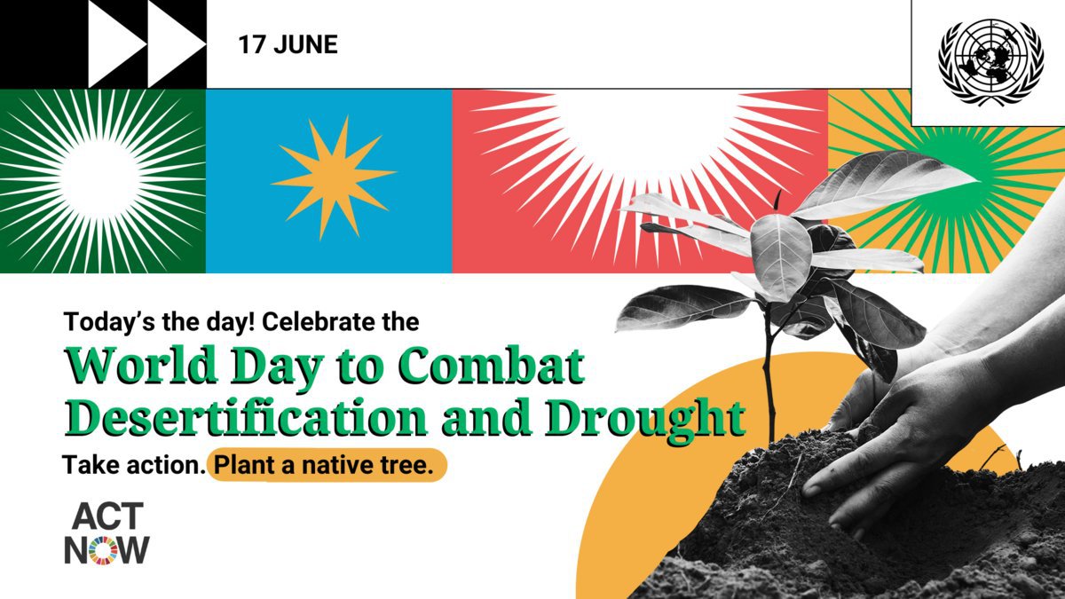 UN's tweet photo. Every second, an equivalent of 4 football fields of healthy land becomes degraded, adding up to a total of 100M hectares each year.

On #DesertificationAndDroughtDay, learn more on the importance of securing healthy land for present and future generations: https://t.co/QCw2lSrqCv https://t.co/49VpUk38Gt