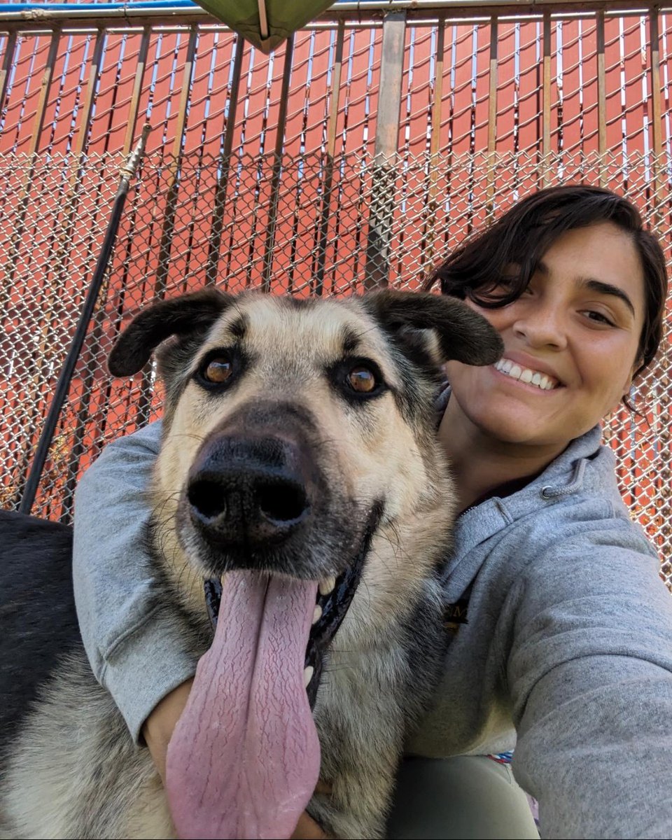 PetCamp's tweet image. Happy Friday! 🌞 Going out for the weekend? It isn't too late to book daycare or overnight care with us! 🐾

Drop off your pup, enjoy the warm weather and treat 👏 your 👏 self 👏

#dogdaycare #dogboardingsf #overnightcare #sfdogs #dogdaycaresf #bestdogboardingsf #dogdaycaresf