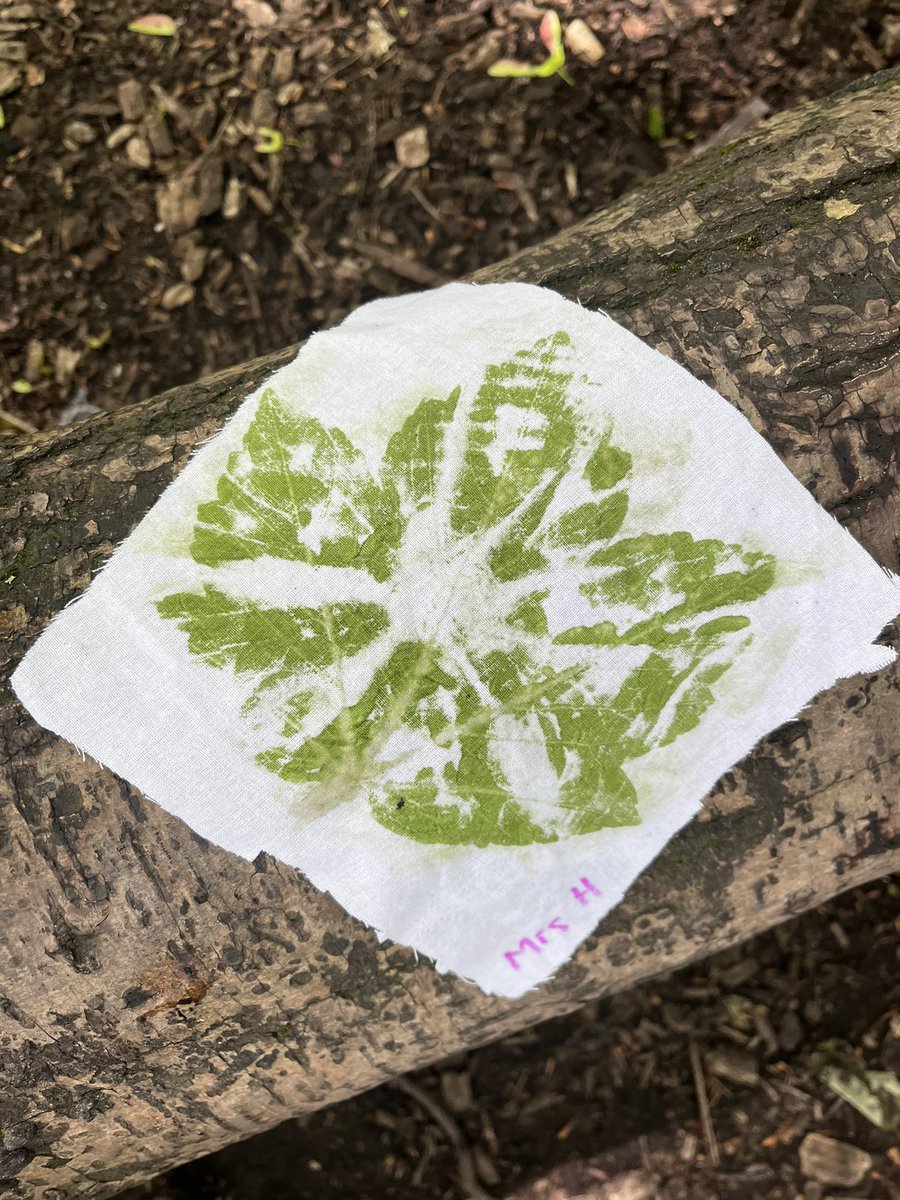 Forest School ACE tweet media