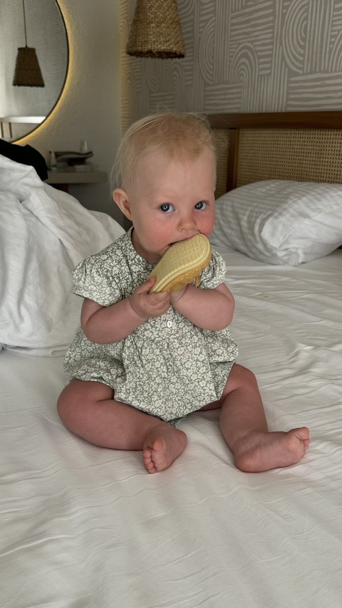 bleykhera tweet media