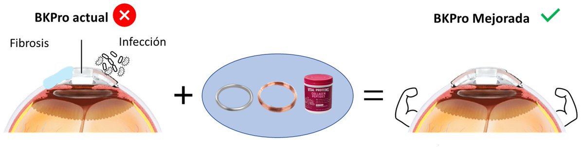 Silvia2Go's tweet photo. Mi objetivo es crear una BKPro mejorada, más compatible con el cuerpo y resistente a las infecciones 💪🥳. Además, los tratamientos que estoy desarrollando pueden servir también para otras prótesis 🦷🦴. https://t.co/A41yqrUySD