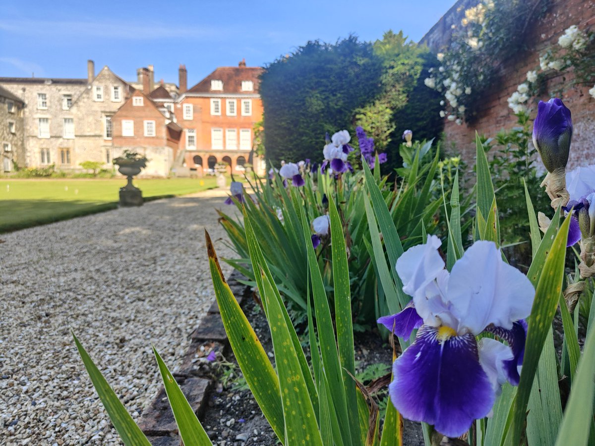 WinColl Grounds and Gardens tweet media
