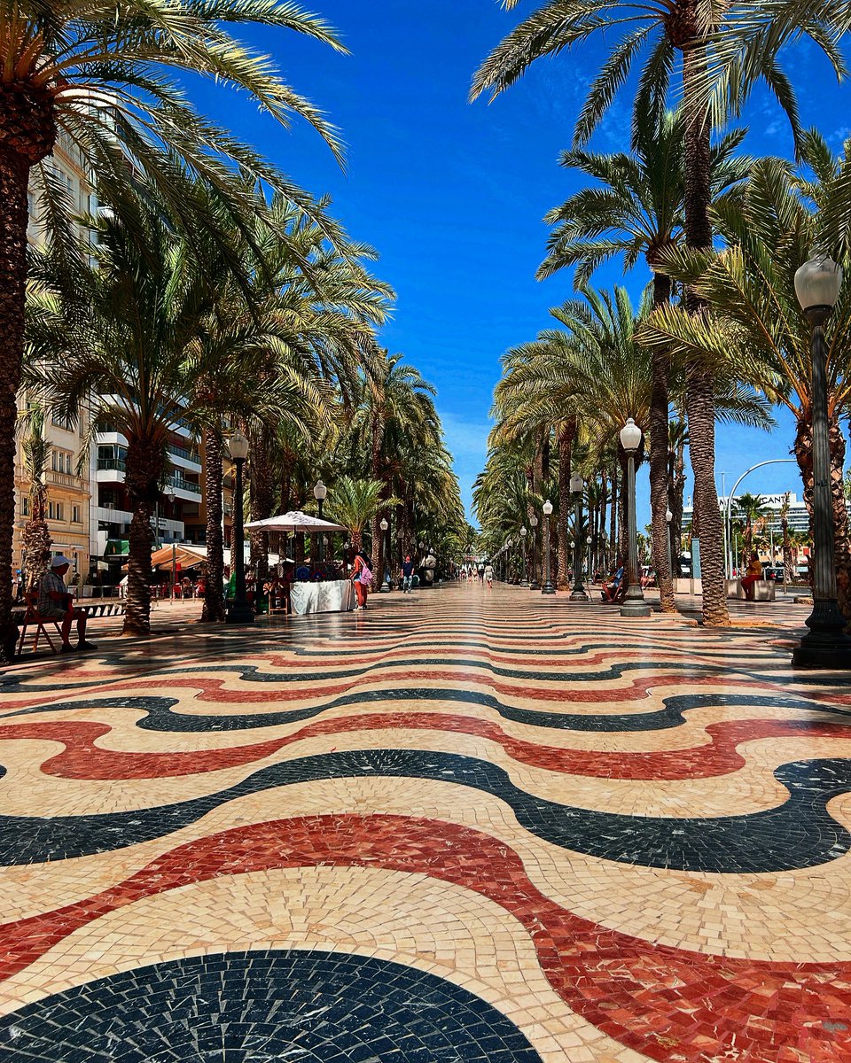 FraFerla's tweet photo. Two days among economists and palm trees, what else? @aeefi_23 #CIE2024 https://t.co/1N7dAp0qeL
