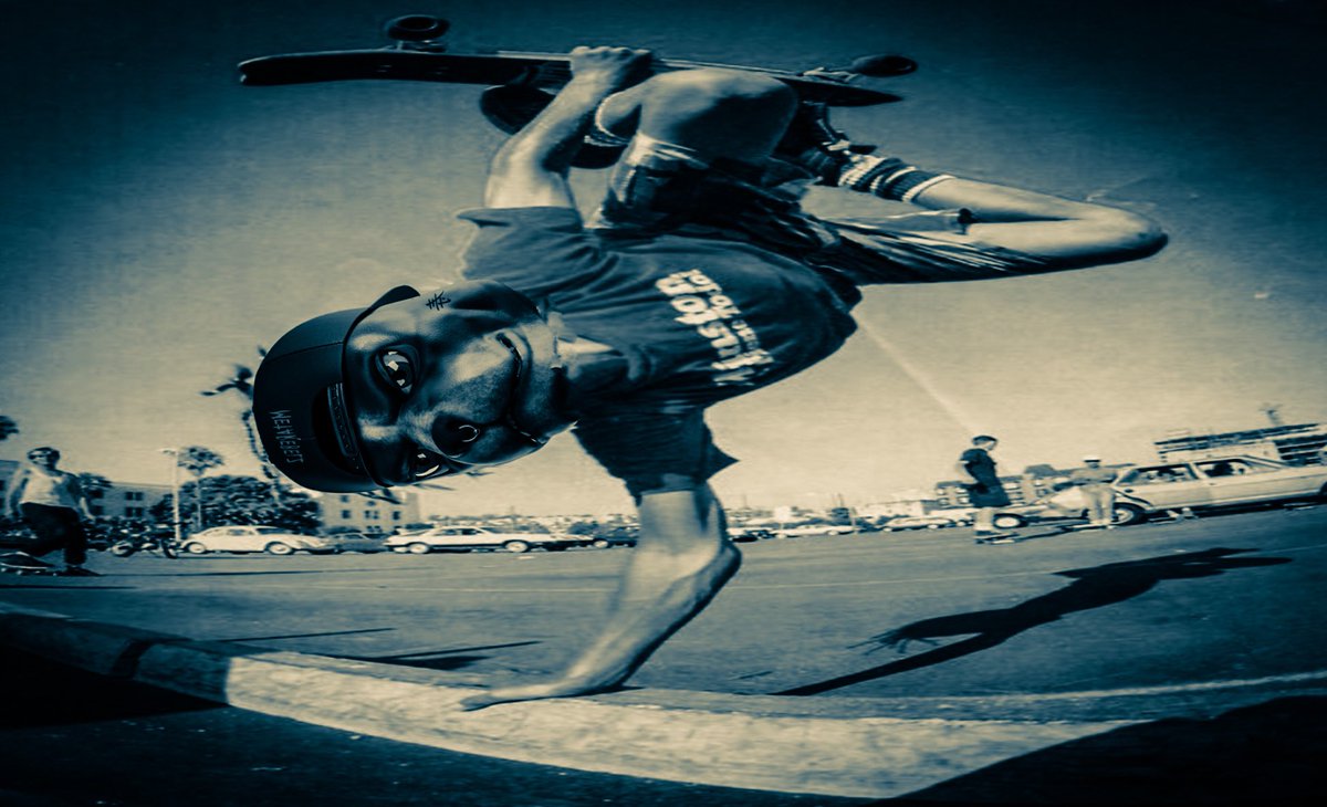 <a href="/LLCubKing/">ʟʟ.ᴄᴜʙ.ᴋɪɴɢ.ᴇᴛʜ</a> <a href="/metarebelzeth/">Meta Rebelz 🐾🦴</a> <a href="/ParkerDido43621/">Parker Didomenico</a> @norugsstudio #SK8DOGS