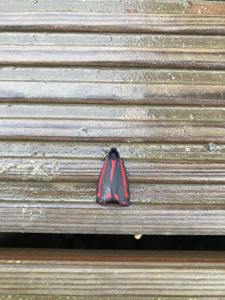Steve Evans tweet media