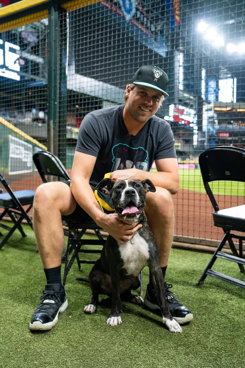 Our <a href="/DbacksGiveBack/">D-backs Give Back</a> Adoption Event has begun! Any cat or dog that is 6m+ at AAWL's main shelter will have a waived adoption fee for the first 37 adoptions from June 14-16 &amp; AGAIN June 21-23. That means you could take them home for free! Learn more at aawl.org/dbacks