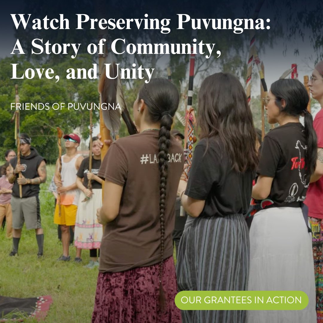 Rose Foundation tweet media