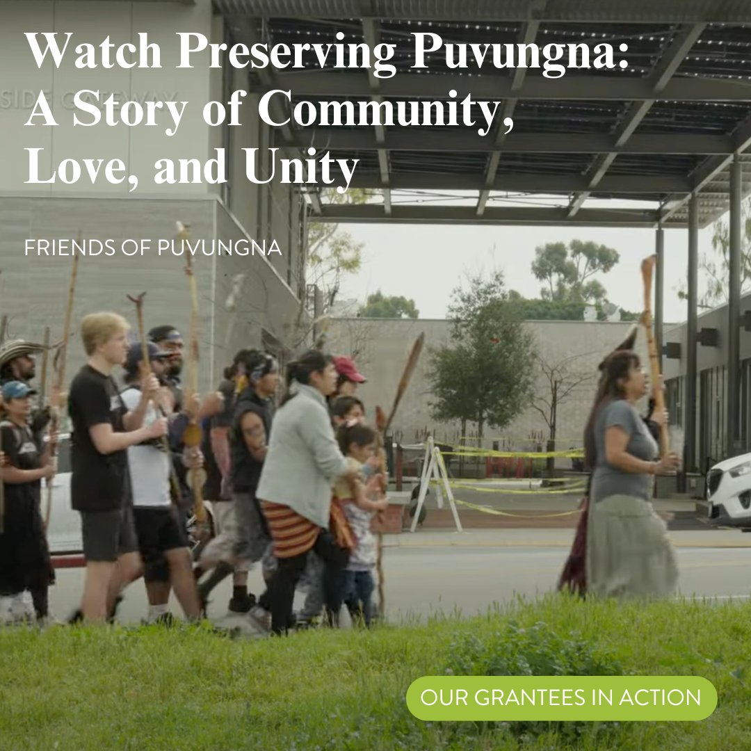 Rose Foundation tweet media