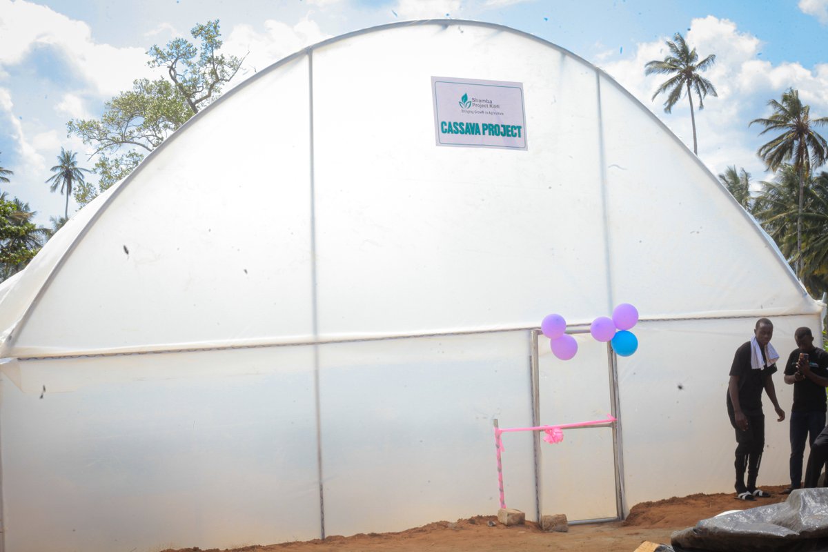 project_shamba's tweet photo. We are happy to announce the launch of cassava drier in kaloleni subcounty kilifi . https://t.co/QpQelwdYJr