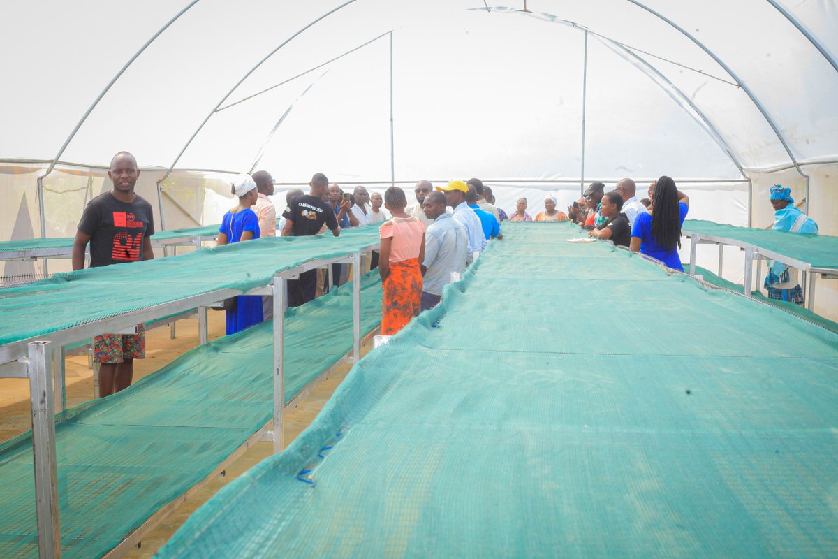 project_shamba's tweet photo. We are happy to announce the launch of cassava drier in kaloleni subcounty kilifi . https://t.co/QpQelwdYJr