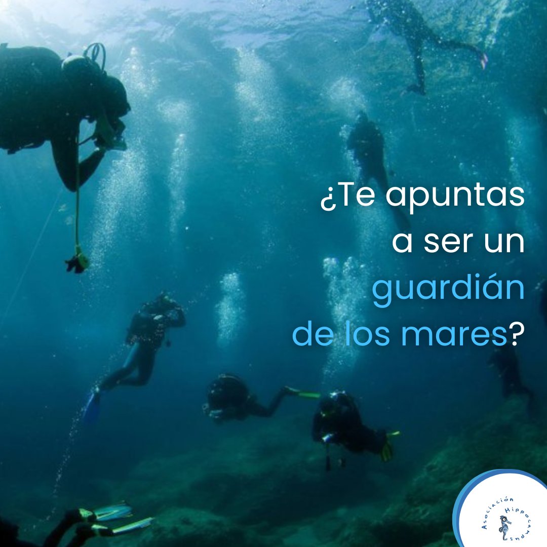 Con tu ayuda hacer un cambio es posible 🌊
¡Únete a la Asociación Hippocampus y conviértete en un guardián de los mares! 💪

__________
#asociacionhippocampus #proyectoplumbum #marmenor #caballitodemar #medioambiente #voluntariado #sostenibilidad #mediterraneoresponsable #buceo