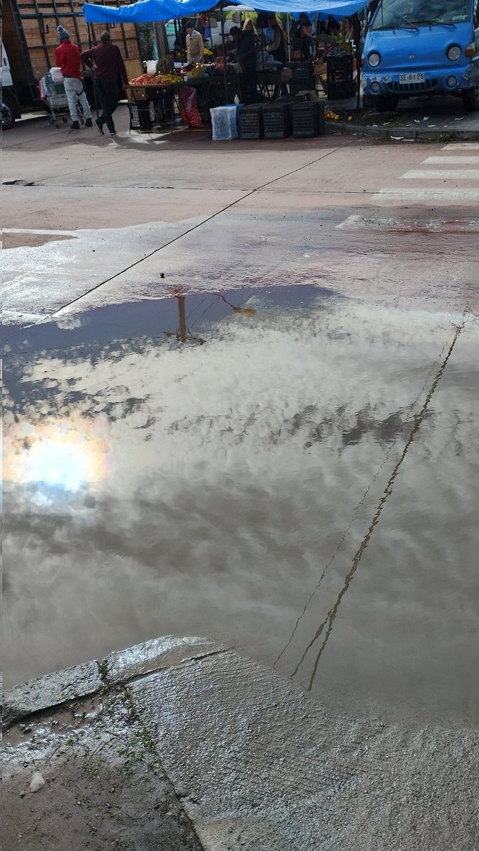 Felipe Lagos Fuentes tweet media