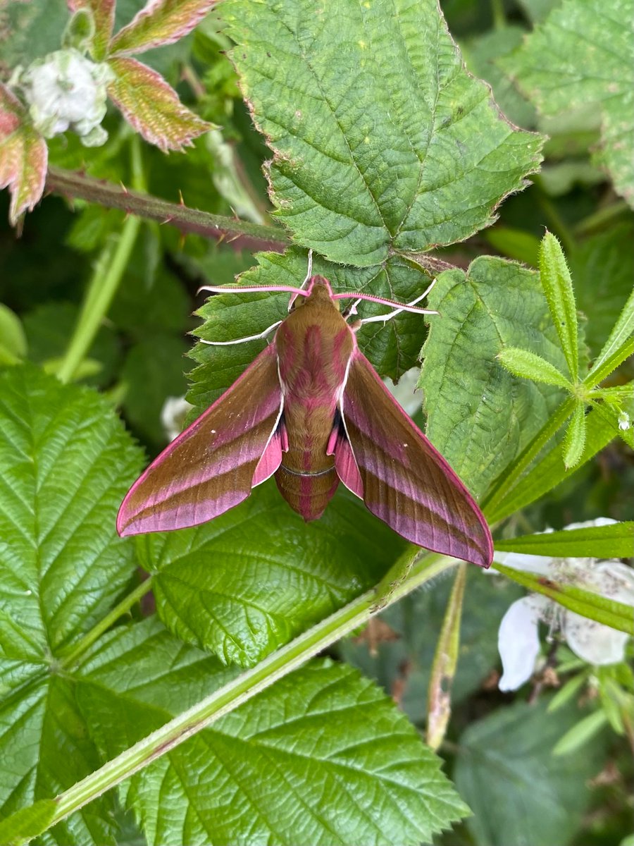 Stephen Howell tweet media