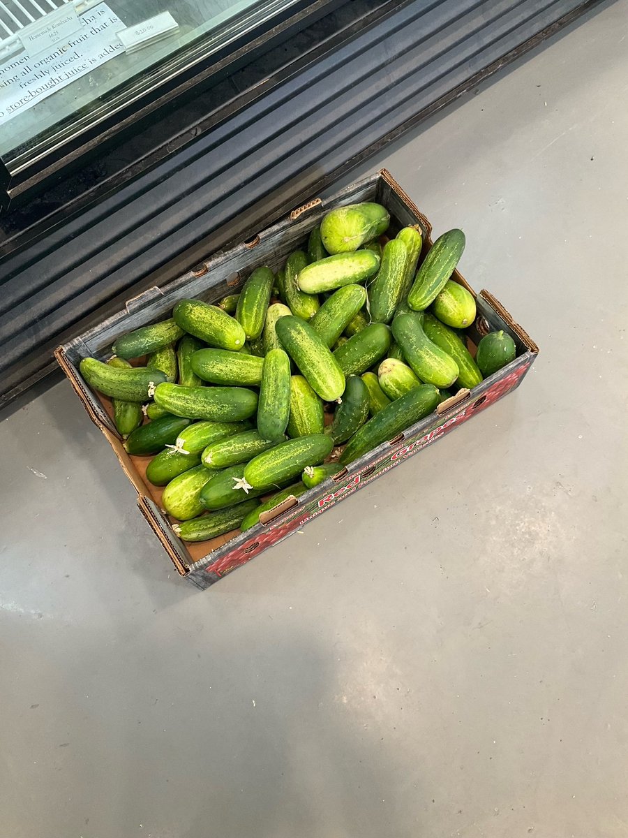 PCG_News's tweet image. The agriculture department has harvested hundreds of pounds of vegetables this season. Great news for food services!