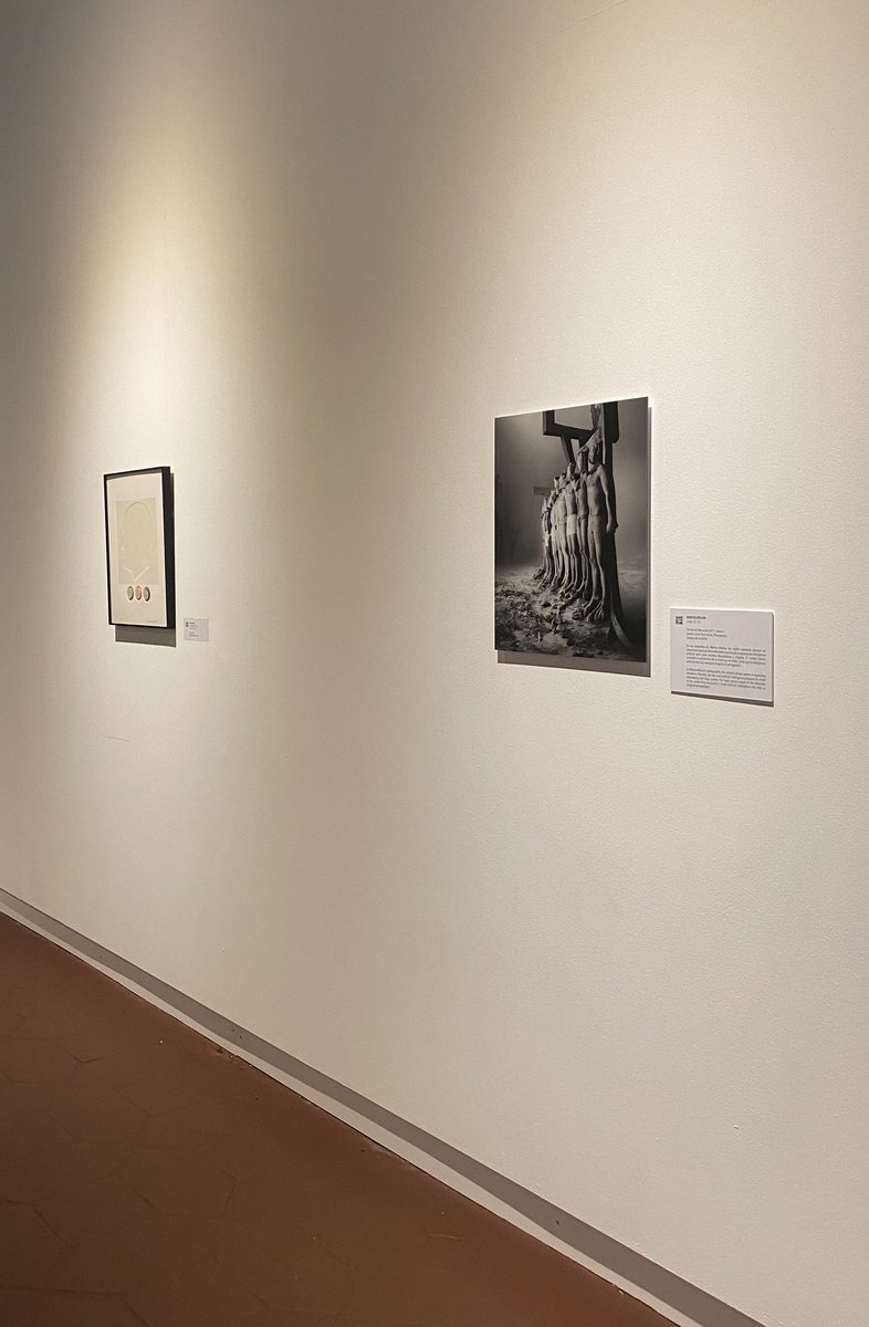 SuperMari tweet media