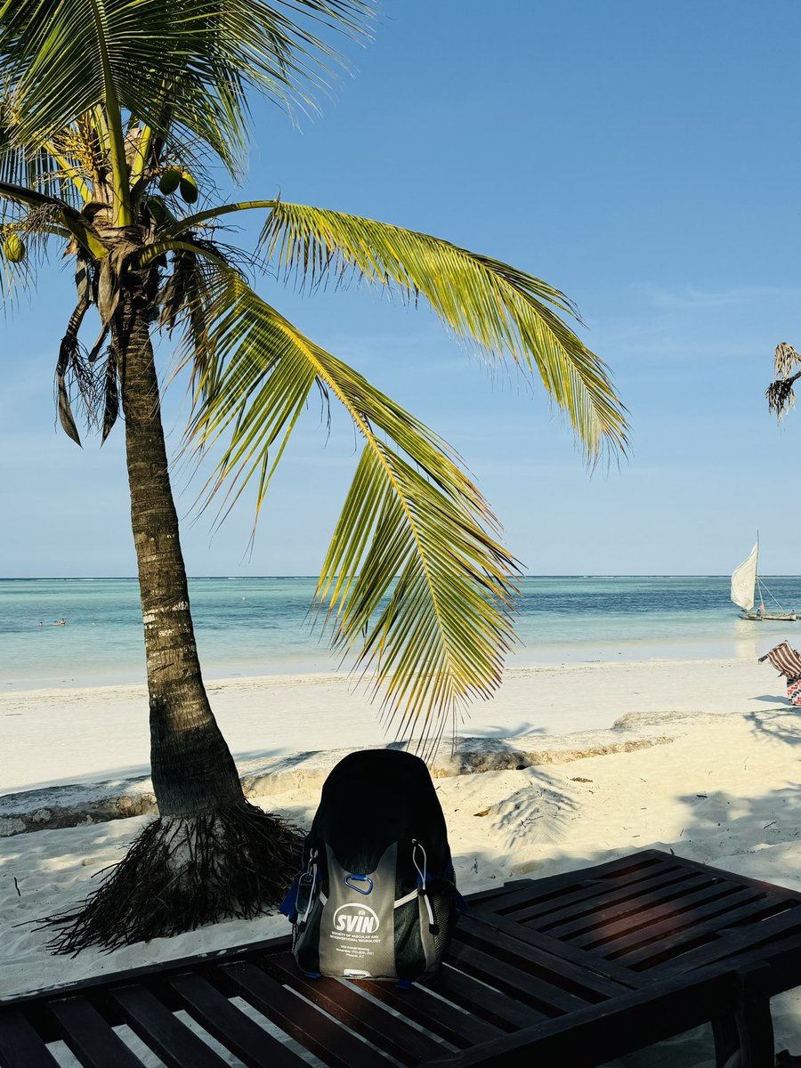 Ameer E. Hassan tweet media