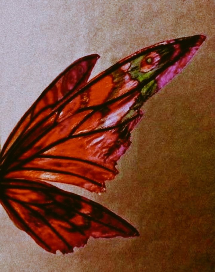 unarirideArg's tweet photo. Es una Hadita🧚🏻‍♀️🌹🦋❣️ https://t.co/DP0m2P2ncm