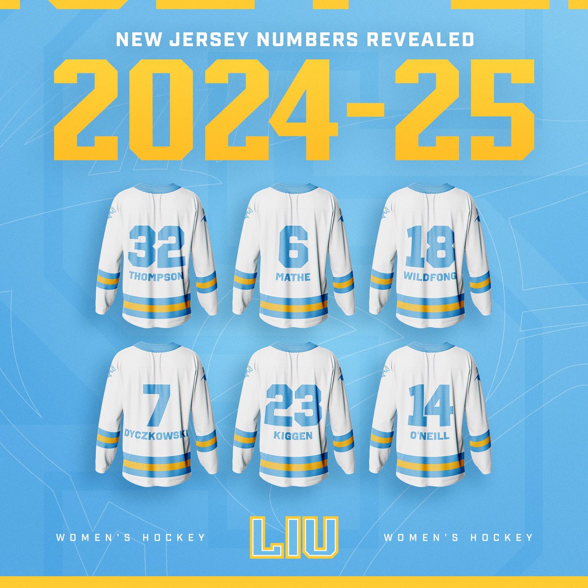 LIUWHockey's tweet image. New year, new numbers! #FinsUp 🦈