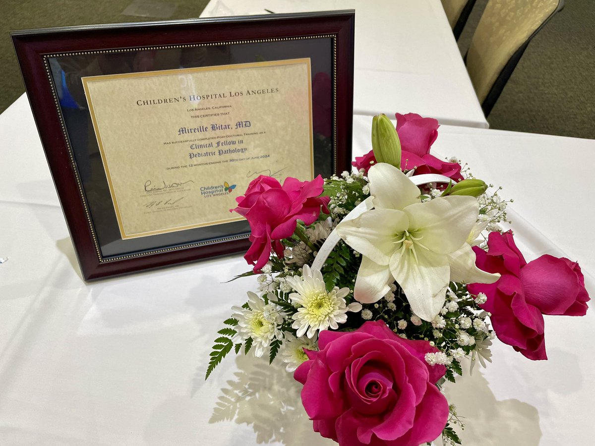 Mireille Bitar, M.D. tweet media