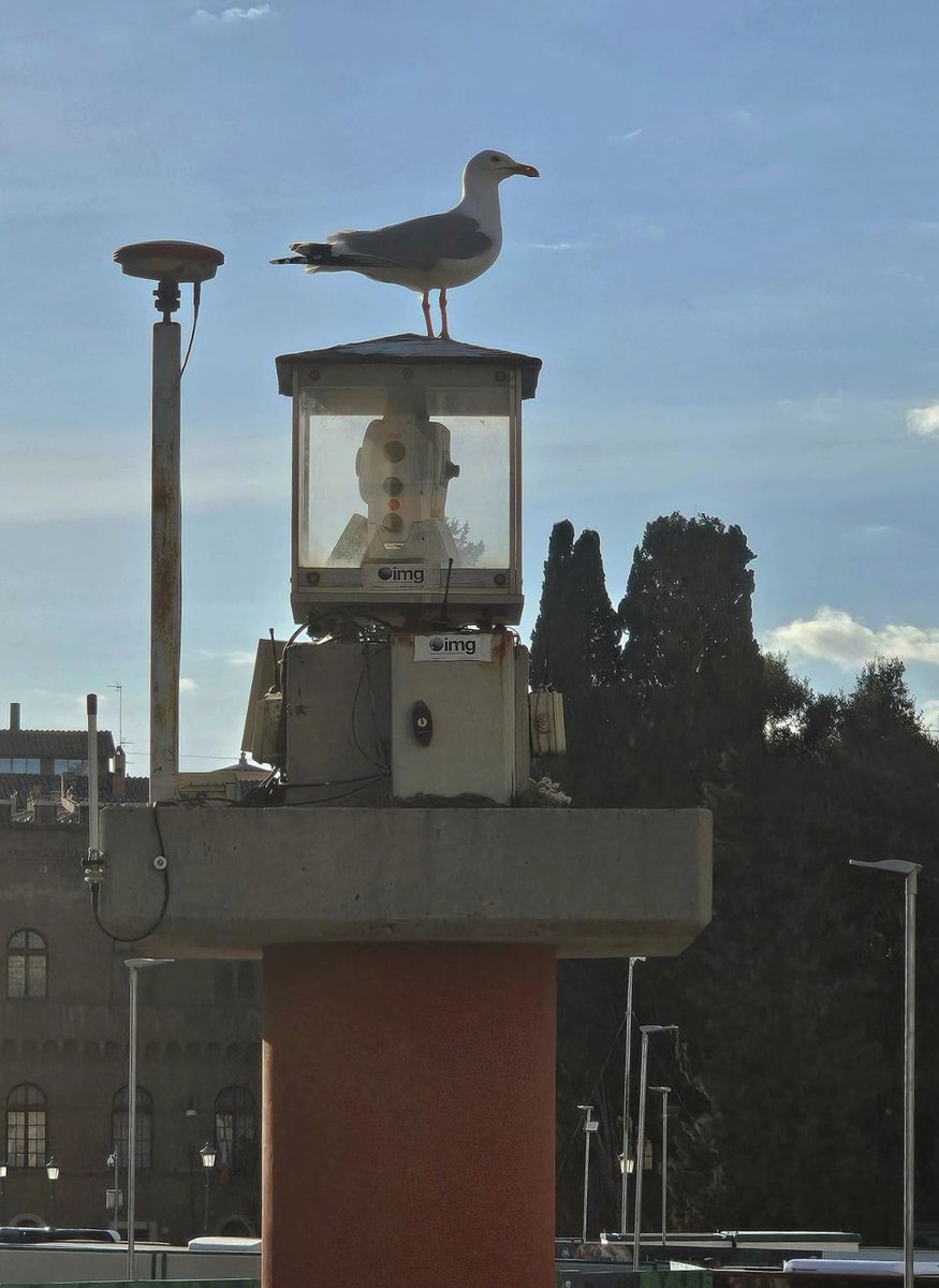 LeicaGeosystems's tweet image. Embarking on an adventure in Rome? 🇮🇹 #Surveyors, make sure not to miss Leica Geosystems&apos; #MonitoringSolutions even while sightseeing!  🏟🏛️ 

Explore monitoring case studies:  hxgn.biz/4594BpS 

#GrowWithMonitoring