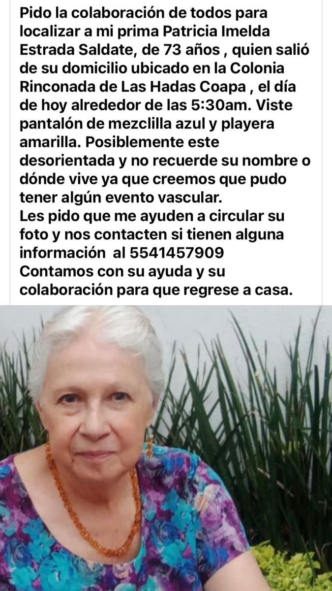 Areli Paz tweet media