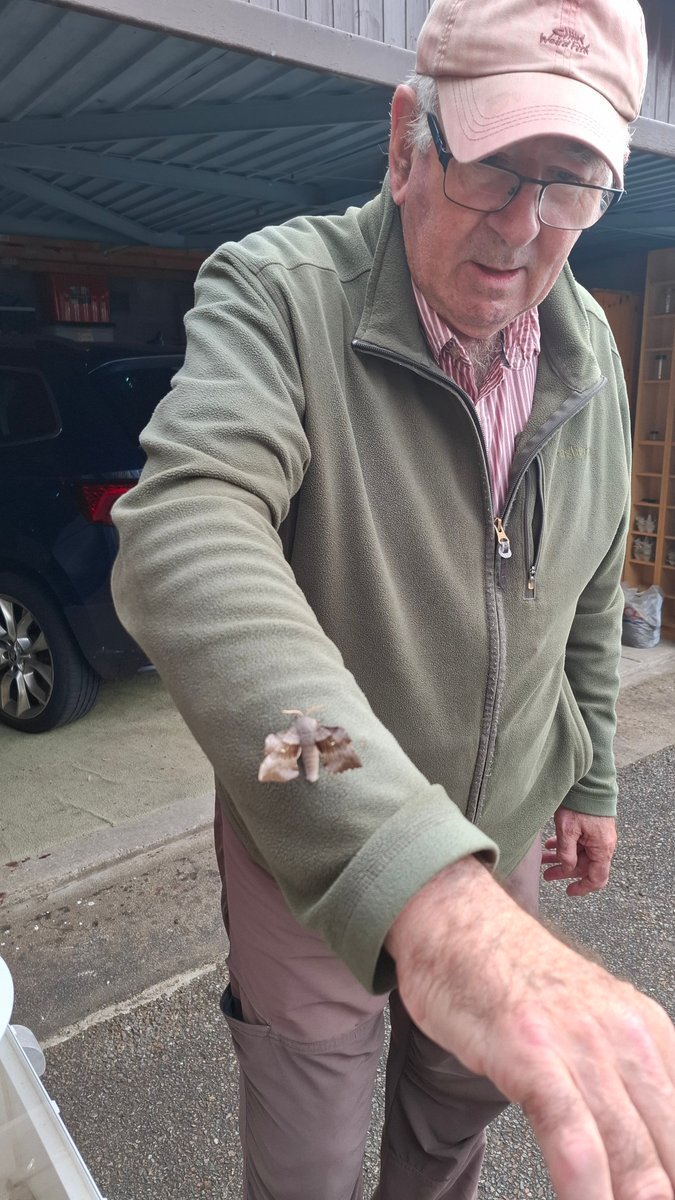AlMcNee's tweet photo. A few days on and not a lot more until Bob McMillan @SkyeBirdsBob brought his trap and our combined efforts produced a few good moths. Coxcomb Prominent, Map-winged Swift, Scalloped Hook-tip and Poplar Hawk-moth. https://t.co/wDwrd9evFf