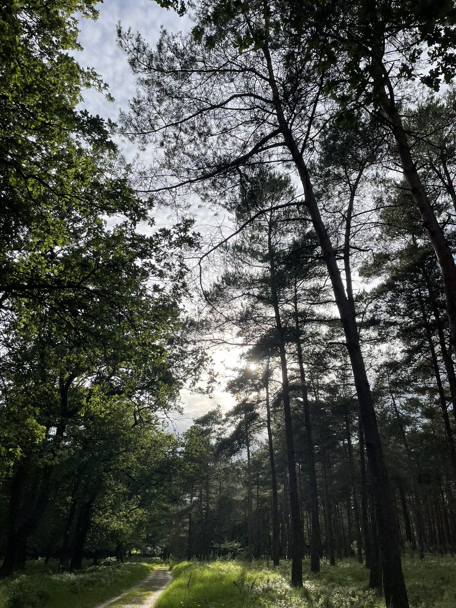 baba_karr's tweet photo. 🌍🌿 https://t.co/T6MjVgucvQ