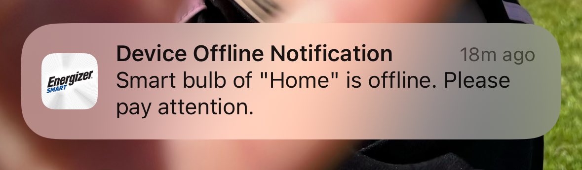 Teacherly chastisement from a lamp 🙄