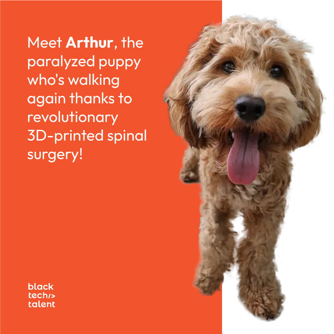 Black Tech Talent tweet media