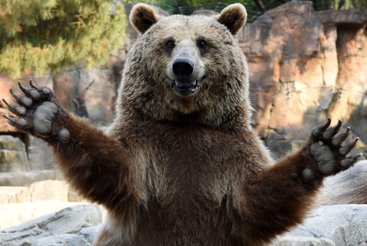 factandrumor's tweet photo. “Shall not be infringed” AR-15: The US Constitution / Bill of Rights ONLY mentions the right to #bear arms or #barearms. I'm fine with the short-range, slow-loading muskets of our Founding Fathers. They're useless for mass shootings, school shootings, etc. https://t.co/qHNgbrGNGF