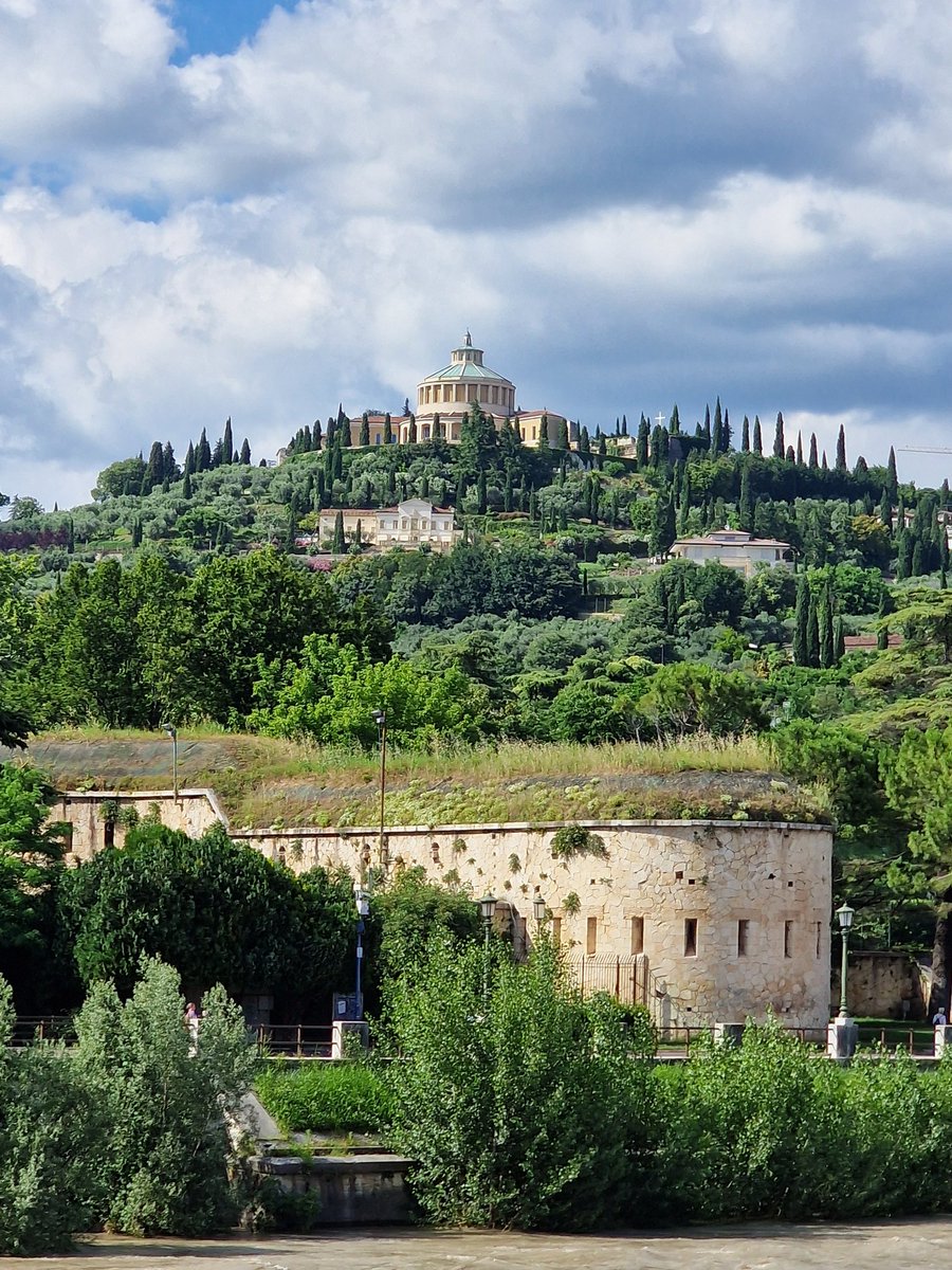 Mike Mulroy tweet media