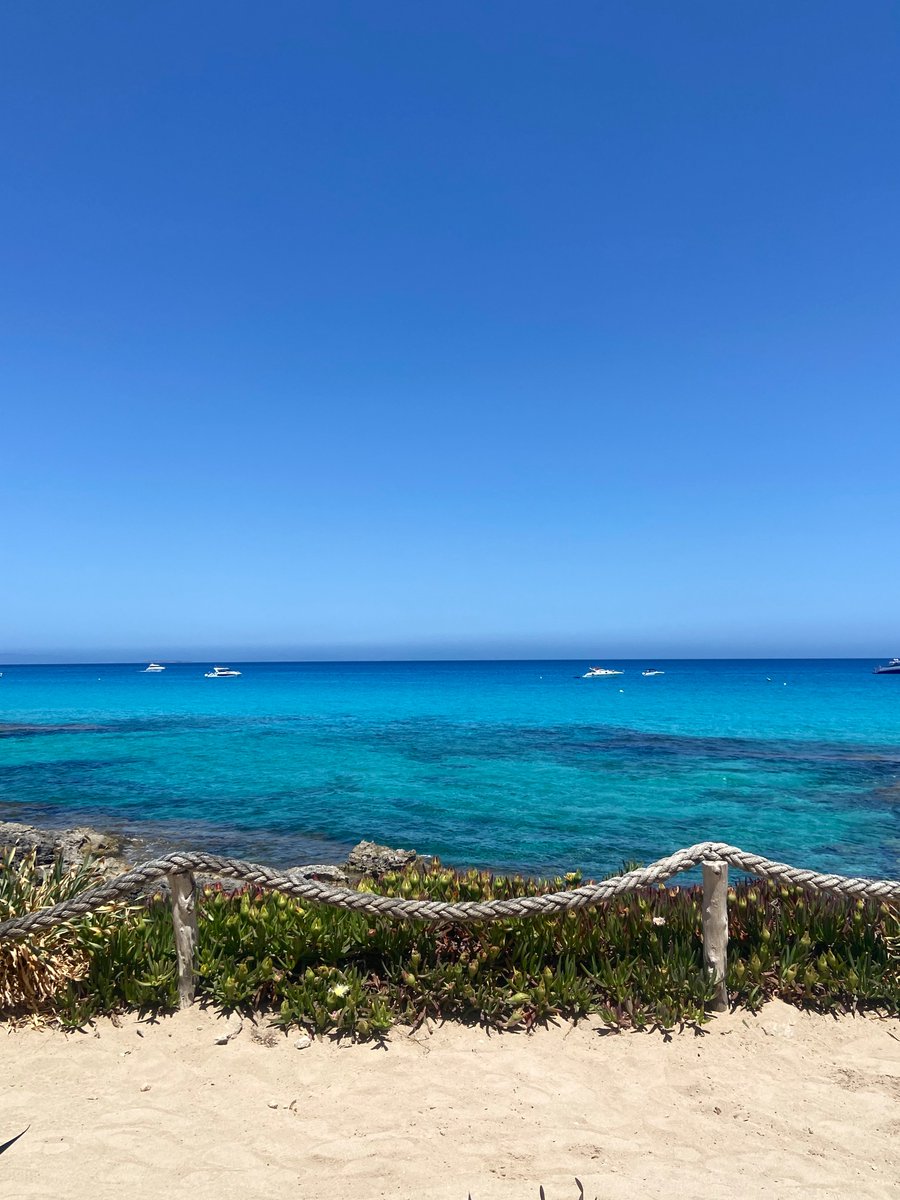 Ana_Roman__'s tweet photo. Formentera ✅🌴🩵 https://t.co/i6Hc5yNAA3