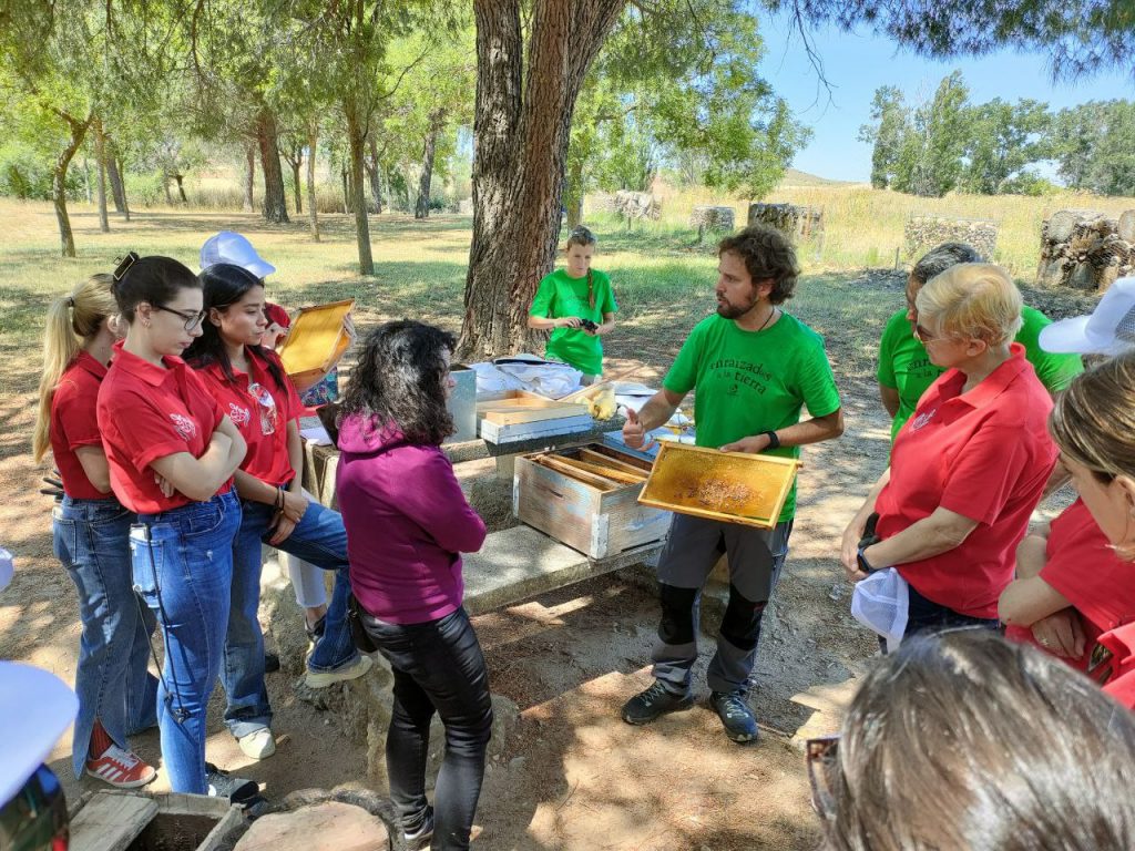 A_Micorriza's tweet photo. Avanzamos en el #ProyectoEspino con la construcción de una #infraestructura verde en #DaganzoDeArriba, dirigida a generar refugio y hábitat de #polinizadores y #microfauna.
#Ailanto
#Voluntariado
#RSC
#Clarins
#ManosALaAzada
#Madrid
https://t.co/HmfNor4oEt https://t.co/7C5klY0Swg