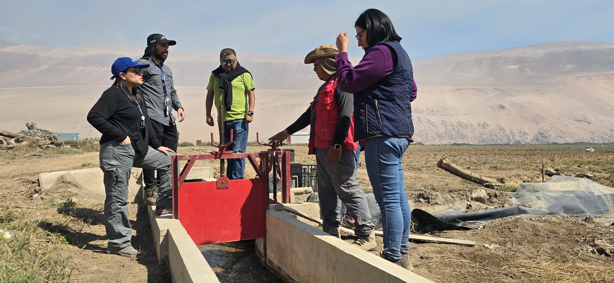 CNRCHILE's tweet photo. Uno de los principales sectores de producción agrícola en #Arica es el valle de #Lluta, en este lugar la Coordinadora Zonal Norte Grande, Mª Paz Casanova y profesionales @GoreAyP y convenio CNR-GORE, recorrieron proyecto de revestimiento canal Visconti bonificado por #LeyDeRiego https://t.co/6VenxrBQge