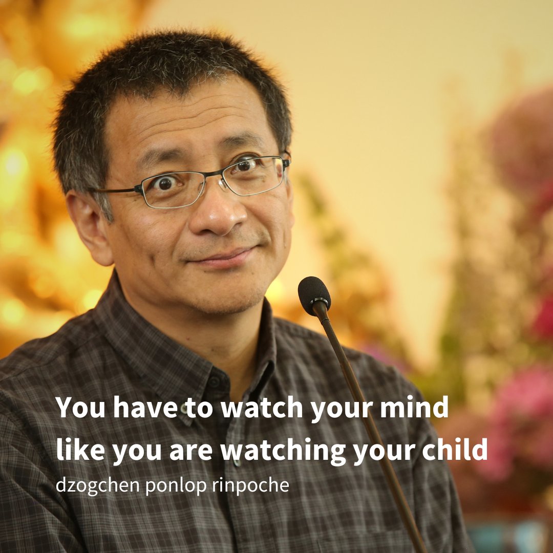 Dzogchen Ponlop R. tweet media