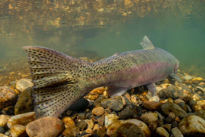Central Oregon LandWatch tweet media