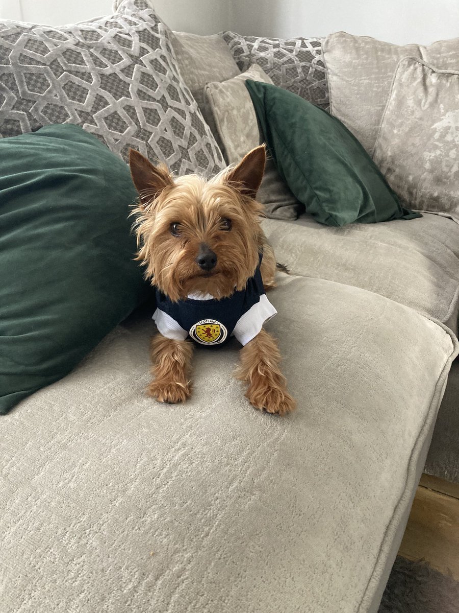 Mi55Robinson's tweet photo. Millie is ready for the game. C’mon Scotland 🏴󠁧󠁢󠁳󠁣󠁴󠁿 @ScottishFA @ScotlandNT https://t.co/w5R1IKS0FL