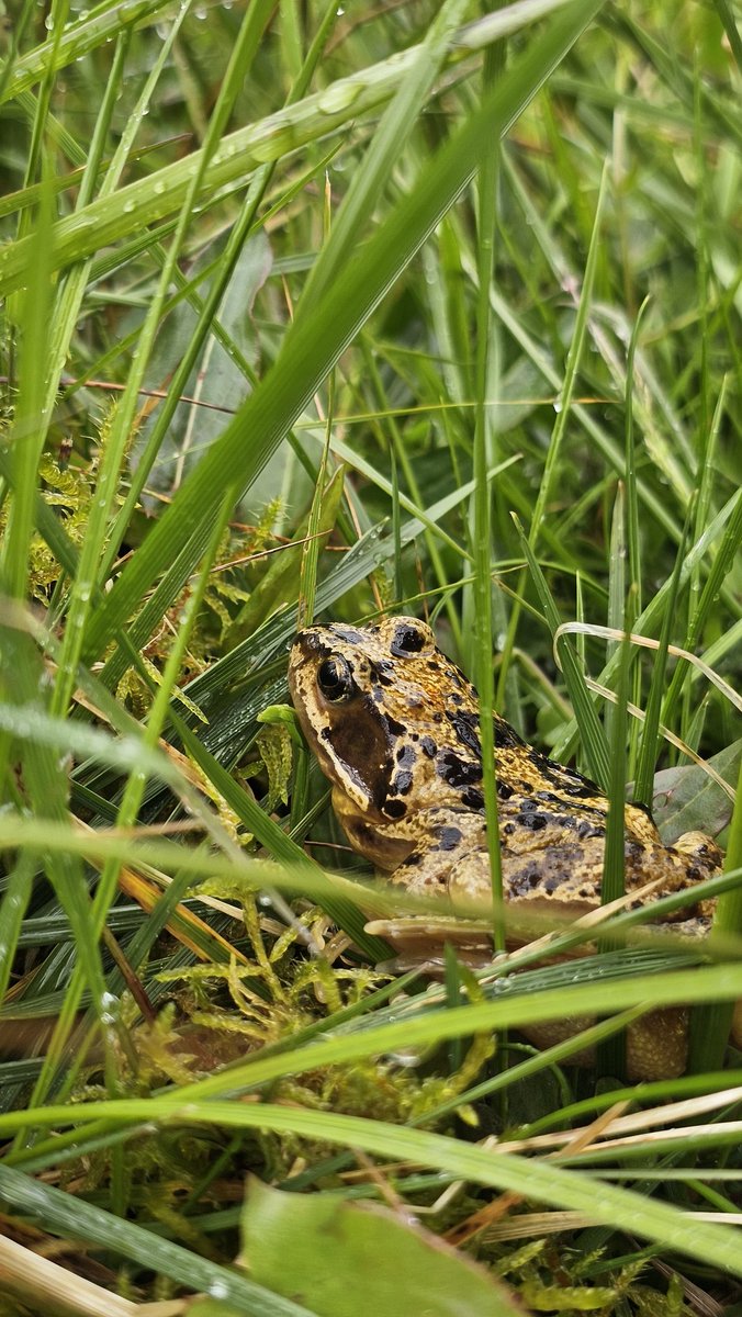 Beth Thomas tweet media