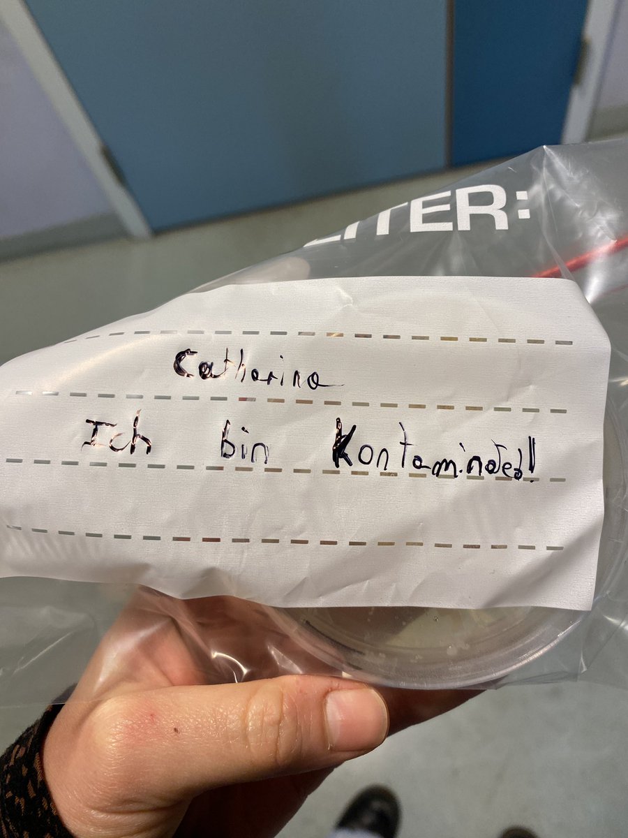 Neumann_Ca's tweet image. When colleagues make you laugh even though there is a mite-pocalypse