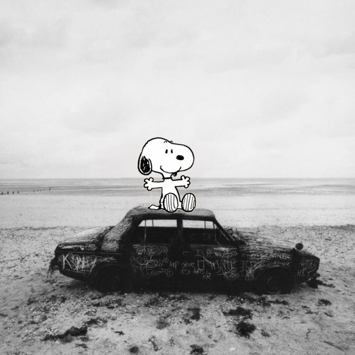 an0bra1n's tweet photo. https://t.co/dEK5qtcNhN