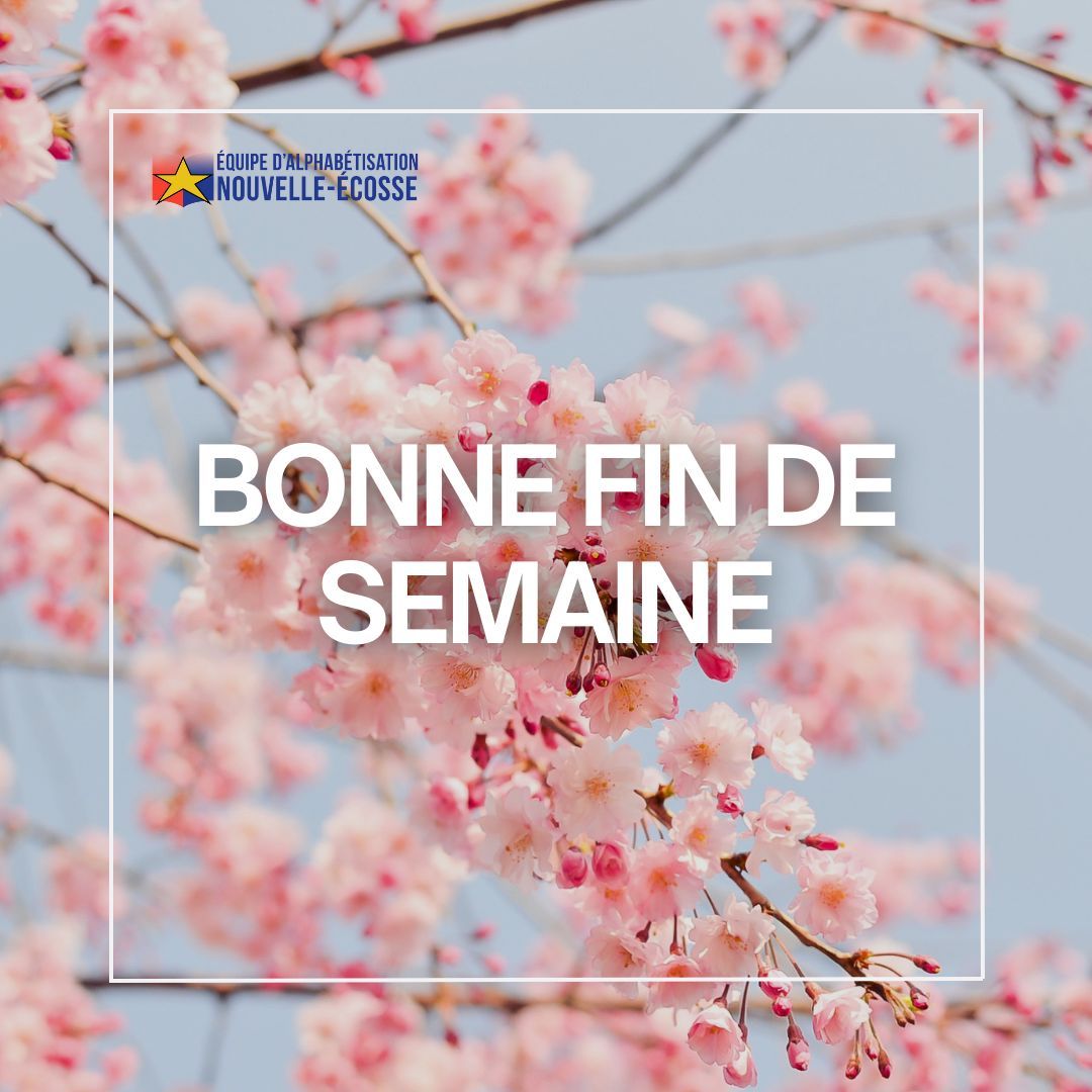 jpf_parents's tweet photo. 🌸 Bonne fin de semaine!
🌸Happy weekend! https://t.co/yNoBCLCzAj