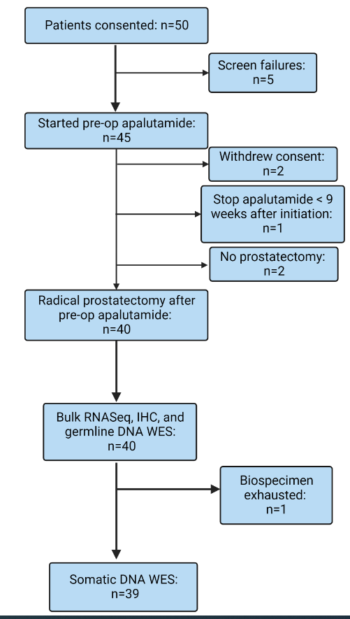 OncHahn's tweet photo. (1/5) Tweetorial for our phase II, investigator-initiated trial of 6 months, pre-operative apalutamide monotherapy for men with localized IRPCa led by @jdhdavis and the @MDAndersonNews Uro Onc team https://t.co/MHkwgRfn0r in @BJUIjournal https://t.co/yULc5zOmoY