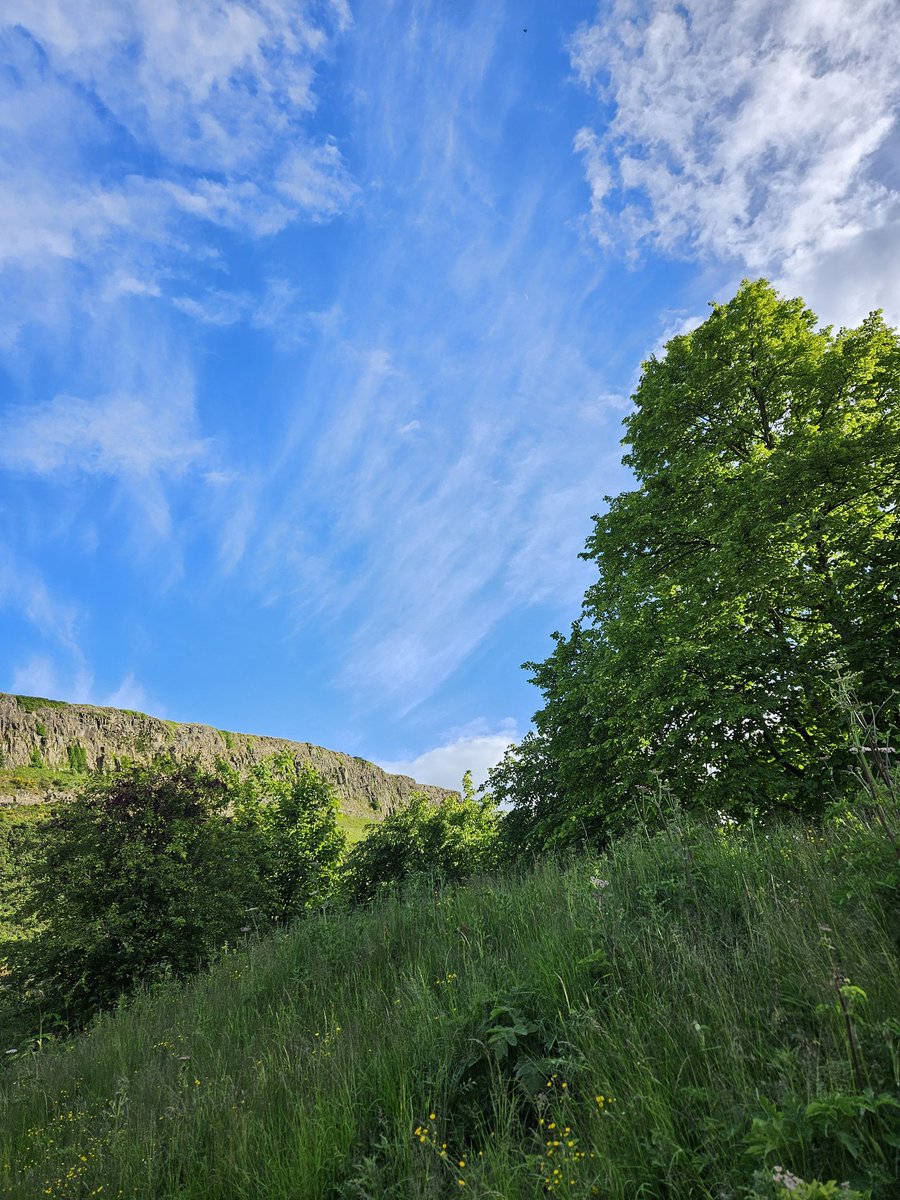 Through the park

#edinburgh #holyroodpark #scotland #bluesky